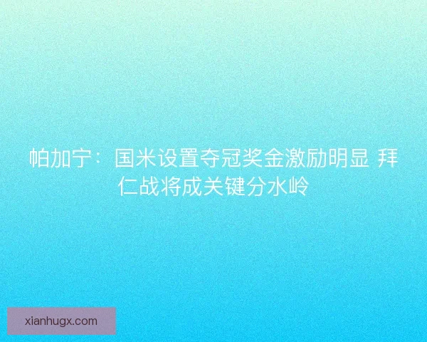 帕加宁：国米设置夺冠奖金激励明显 拜仁战将成关键分水岭
