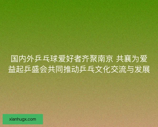 国内外乒乓球爱好者齐聚南京 共襄为爱益起乒盛会共同推动乒乓文化交流与发展 国内外乒乓球爱好者齐聚南京 共襄为爱益起乒盛会共同推动乒乓文化交流与发展